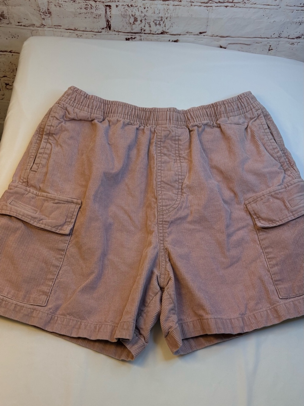 BDG Men's Corduroy Cargo Shorts in Dusty Mauve